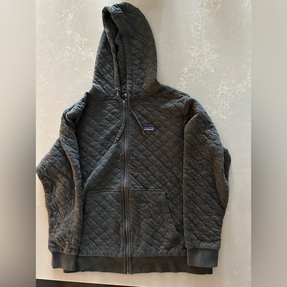 Patagonia Organic Cotton Quilt Hoodie